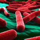 Illustration for article titled What Your Stomach Bacteria Says About You